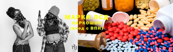 дмт Аркадак