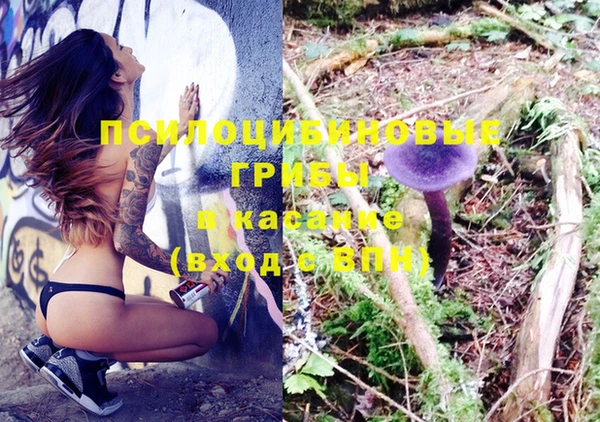ECSTASY Армянск